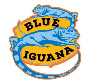 blue-iguana