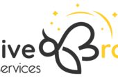 Beehive Broomz cleaning services