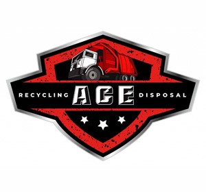 ACE-2021-Logo-003_silver-border-1024×698-2